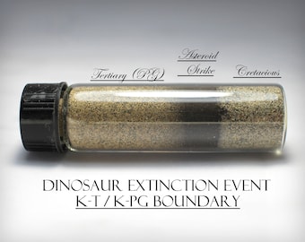 Dinosaur Extinction Sediment – Authentic K-Pg Boundary Specimen