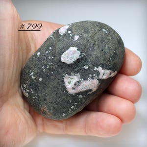 May include: A dark gray, oval-shaped stone with patches of pink and white minerals. The stone is held in a hand, and the number "# 799" is printed on the image. The stone has a rough texture and appears to be a natural specimen.