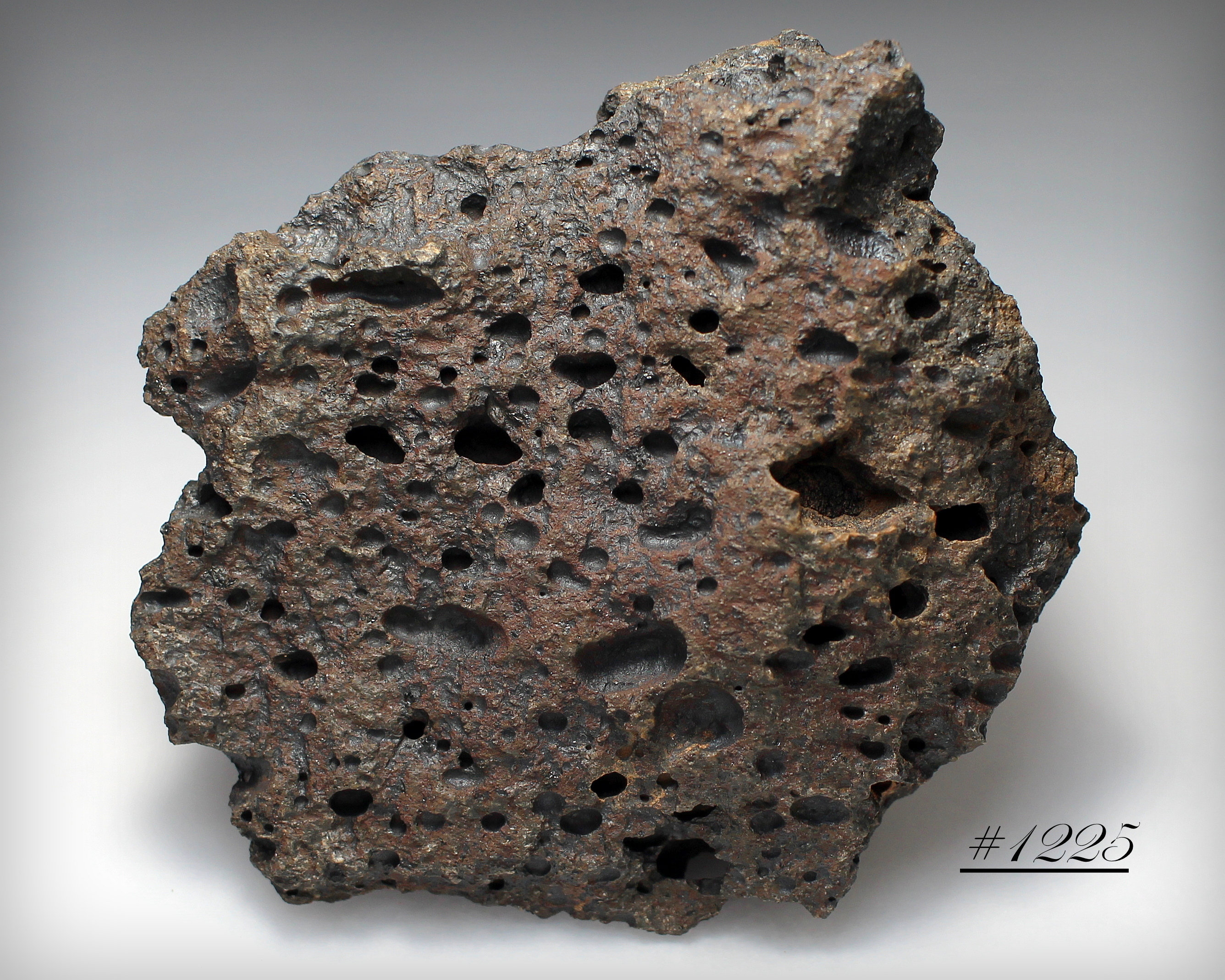 Vesicular Rock