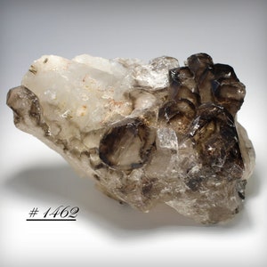 Large Smoky Elestial Jacaré Alligator Quartz Crystal, from Minas Gerais, Brazil