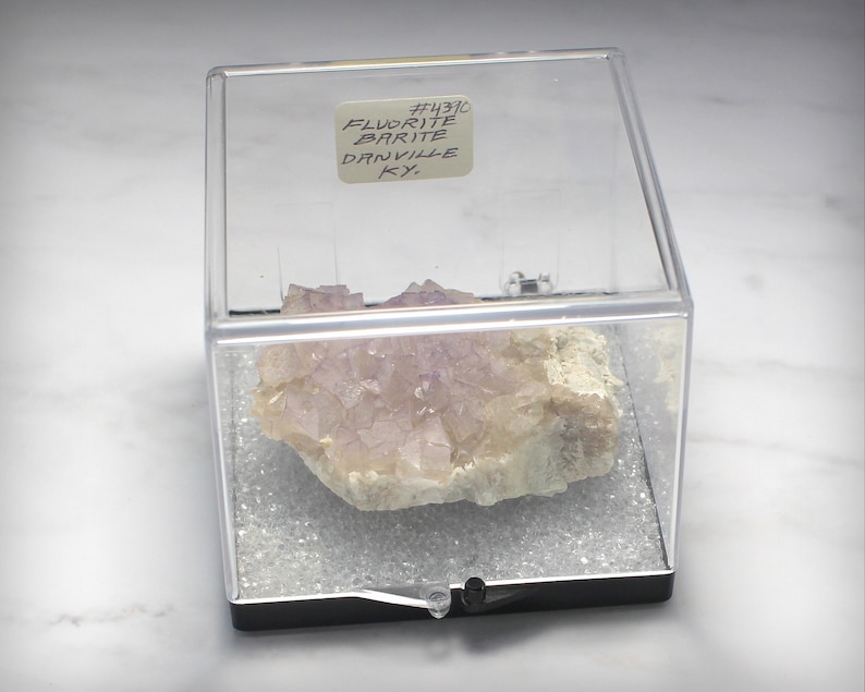 in Perky Box Display Kentucky Light-Lavender Fluorite Cubes with Barite Mineral Specimen from Danville