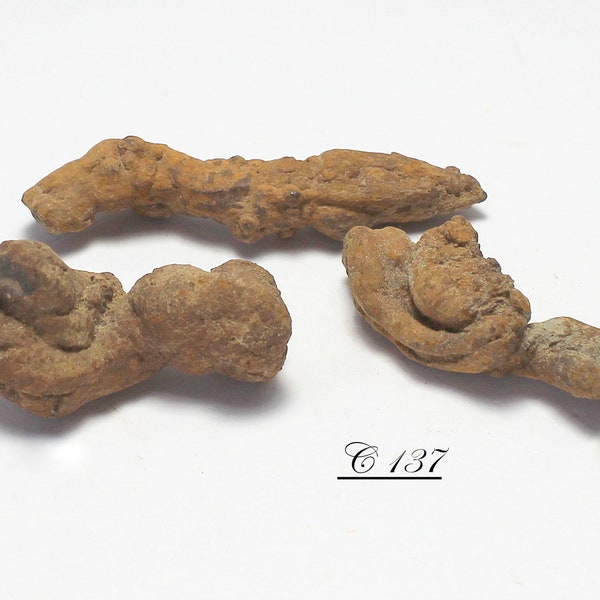Three Small Coprolite (Fossilized Poop) Fossils - from Montana, USA - The Ones Pictured