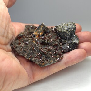 May include: A dark gray mineral specimen with clusters of small, reddish-brown crystals. The rough, textured surface of the mineral is held in a hand, showcasing its natural form and color variations. The specimen has a rugged, earthy appearance.