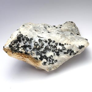 May include: A rough, irregularly shaped rock with a light gray and white base color. The rock is speckled with numerous small, dark black crystals. The overall texture appears coarse and natural, suggesting a mineral specimen.
