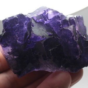 Dark Violet Fluorite Cubic Crystal Cluster - Múzquiz, Mexico