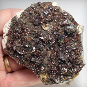 May include: A mineral specimen featuring a cluster of small, dark reddish-brown, faceted crystals embedded in a rough, dark gray matrix. The crystalline surface displays a high-gloss, reflective texture with varying crystal sizes across the face.
