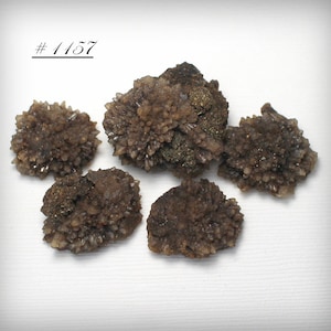 Five Incredible Small Spiky Calcite Crystal Cluster Miniatures, with Bitumen, from Rensselaer, Indiana, USA - Gorgeous and Unique