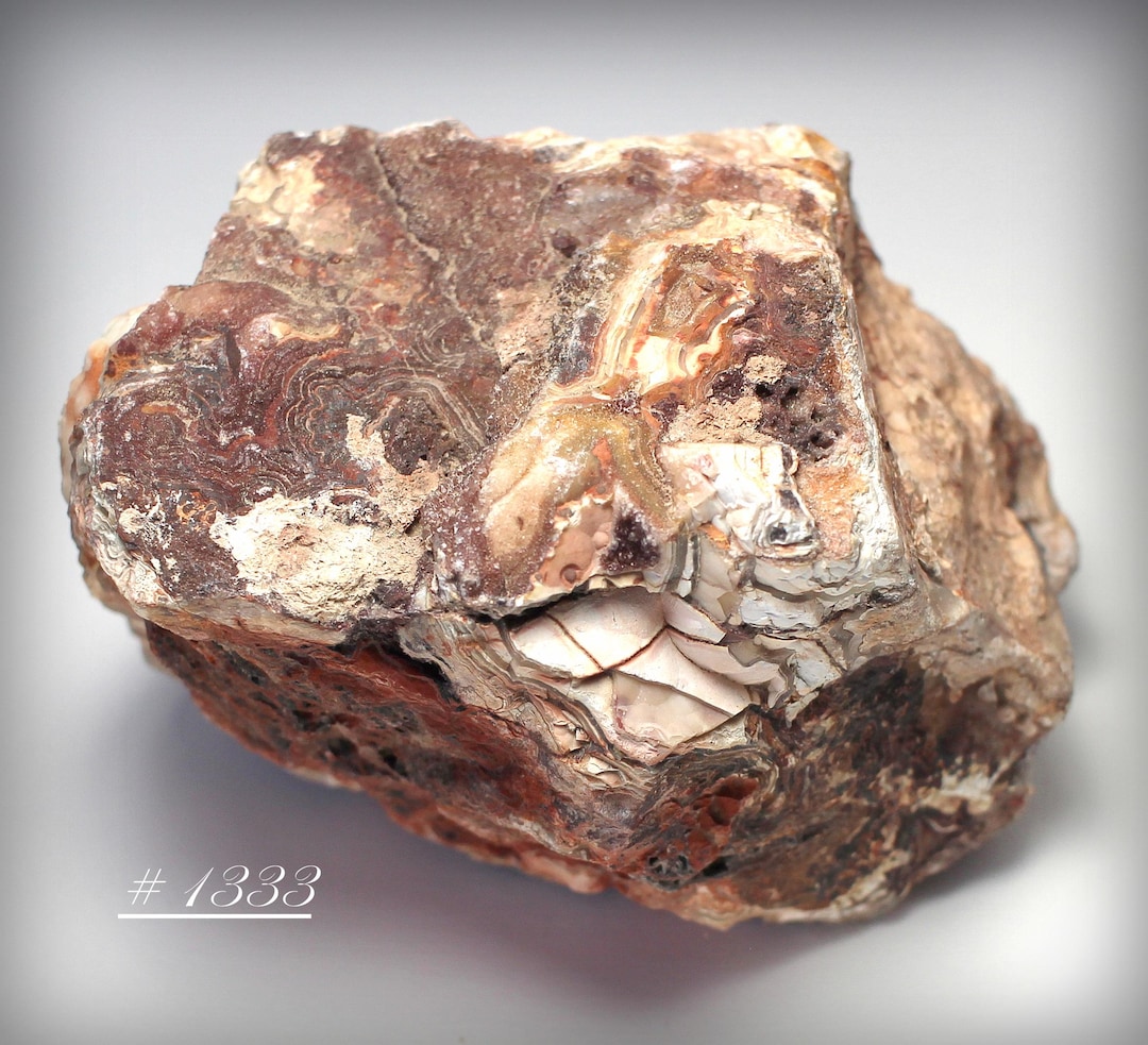 Large Crazy Lace Agate Nodule: Uncut Mexican Rough Stone - Etsy