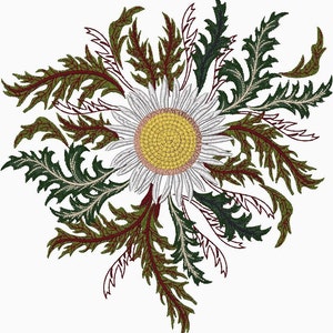 Mountain  White Thistle  -machine embroidery design. Instant Download.