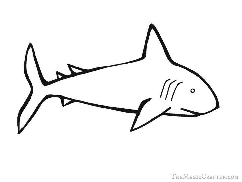 7800 Cartoon Shark Coloring Pages Pictures 7800 Cartoon Shark Coloring Pages Pictures