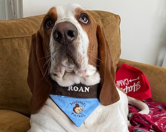 Squirrel Patrol Dog Bandana: Embroidered Over the Collar, Funny Dog Gift