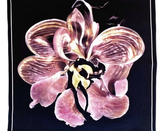 Art Series - Ghost Orchid - Silk Satin Pocket Square Gift For Men Handkerchief
