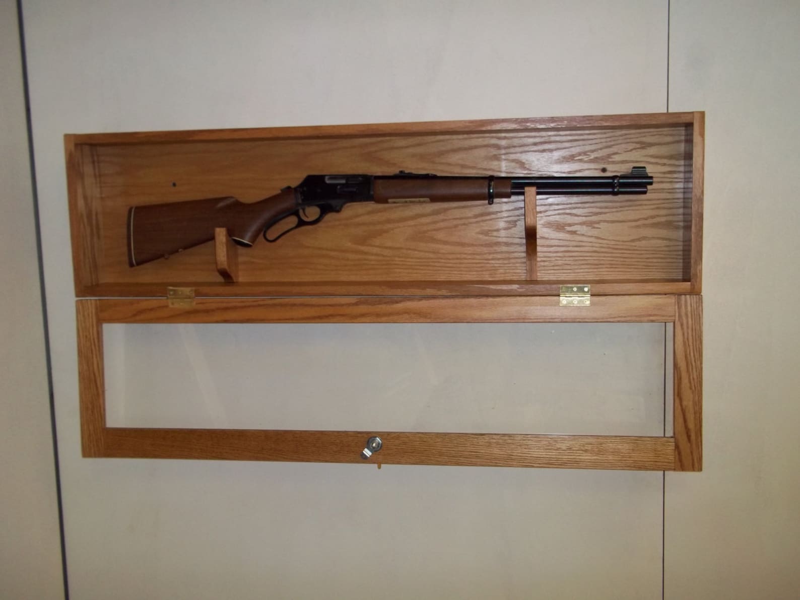 Locking Wall Display Gun Case Specially Made for 3030 Etsy