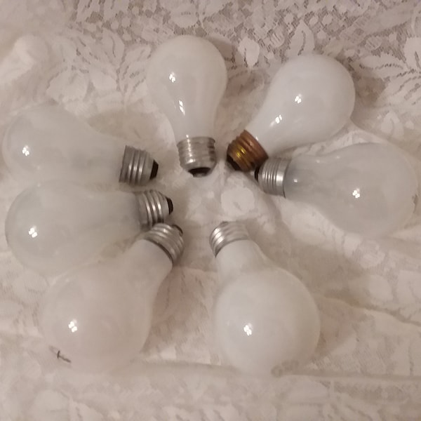 Lightbulbs for Crafting-Mixed Media Art Supply-Used Lightbulbs for Painting-Recycled Blown Bulbs-DIY Ornament-Unique Artist Canvas