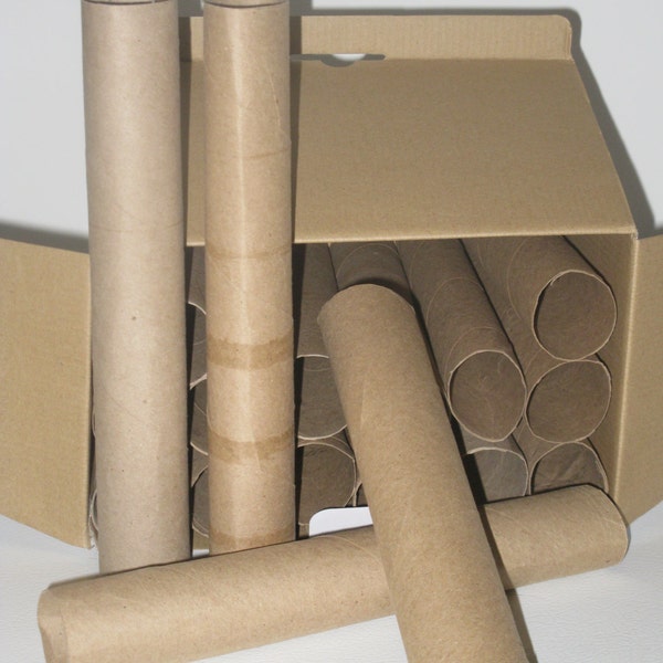 Cardboard Tubes-Paper Towel Rolls -DIY Projects-Previously Used Cardboard Tubes-Craft Supply-Upcycle Art Supply-Empty Rolls-School Projects