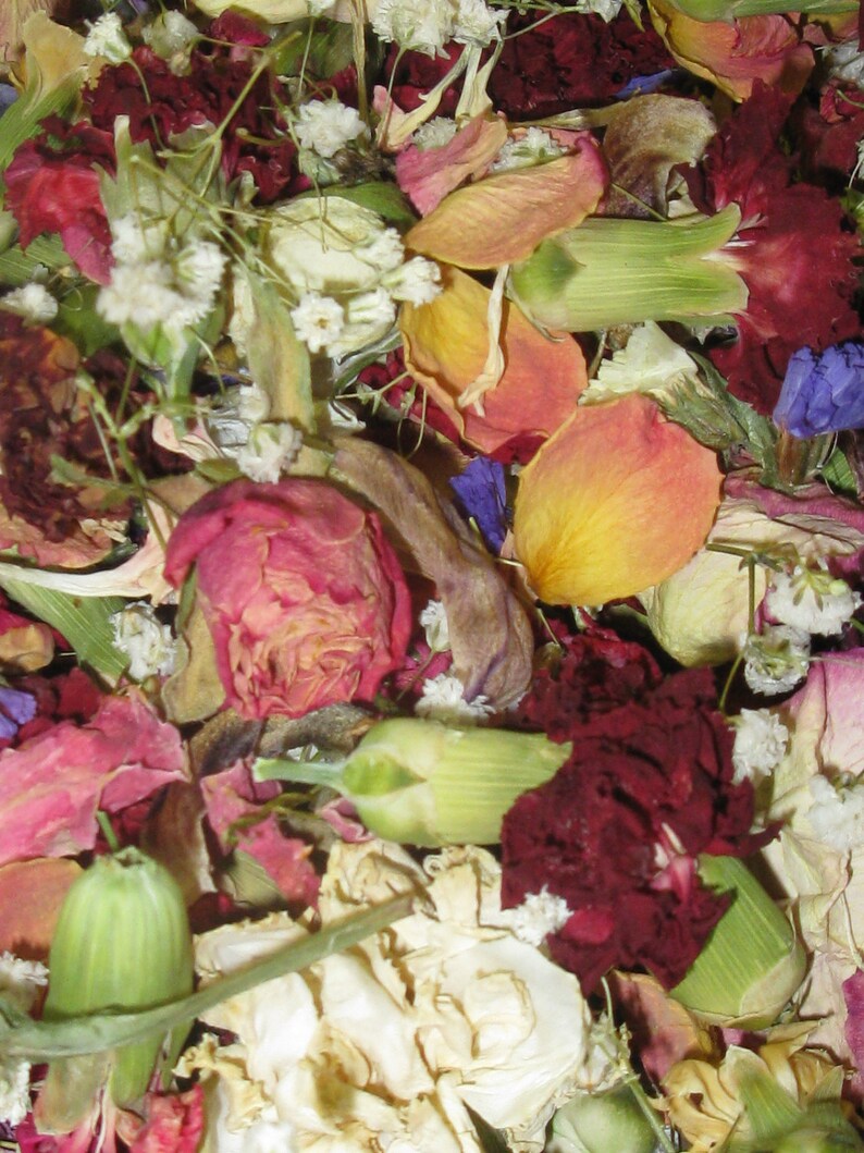Dried Flower Potpourriwedding Toss Mixed Dried Flowersnatural