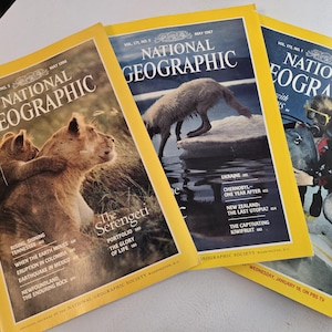 Könnte beinhalten: Drei alte National Geographic Magazine mit gelben Rändern. Die Cover zeigen Wildtiere, darunter Löwen und einen Fuchs, sowie Artikel über die Serengeti, Tschernobyl und Neuseeland. Die Zeitschriften stammen aus den 1980er Jahren.