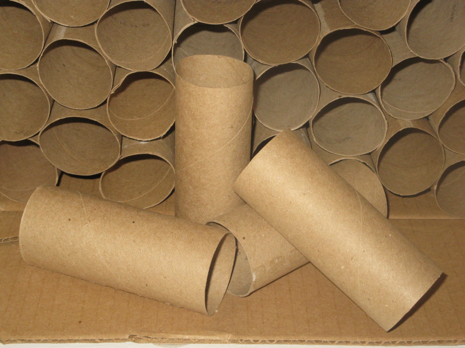 Lot of 25 Toilet Paper Tubes - Clean Cardboard Paper Rolls for Arts & Crafts