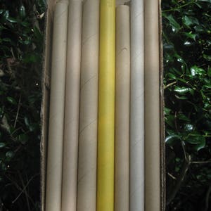 Set of 6 Cardboard Tubes, Craft Paper Tubes, Sturdy, Craft Supply,  Gardening 