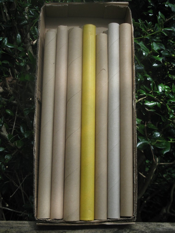 Sturdy Cardboard Tubes: Recycled Craft & DIY Supply - Lot of 12 - Upcycled Art Supply