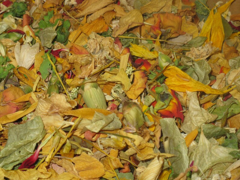 Dried Flower Potpourrimixed Dried Flowerswarm Tropical Etsy UK