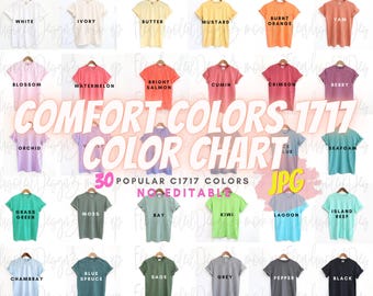Comfort Colors 1717 Color Chart  Mockup | Comfort Colors 1717 Swatches | C1717 Mockups | No-Editable JPG file comfort colors 1717 mockup