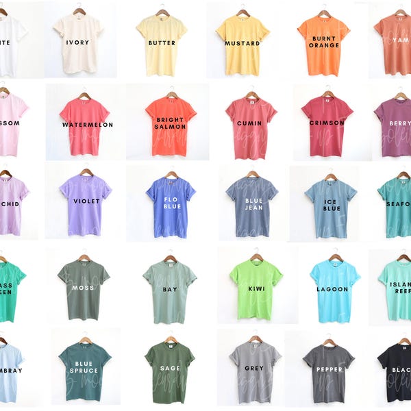 30 kleuren Comfortkleuren 1717 Mockup Bundel C1717 CC 1717 T-shirt Mock-up Bundel Neutraal Eenvoudig Minimal Lente Zomer T-shirt Mockups