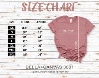 Bella + Canvas 3001 Größentabelle Bella Canvas T-Shirt Sizing Size Chart für Bella Canvas 3001 Sizing Mockup Bella und Canvas 3001 Size Chart
