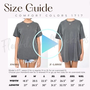 ビデオ Comfort Colors 1717 サイズガイド、ビデオモックアップ、Tシャツサイズガイド、C1717 POD サイズ比較表
