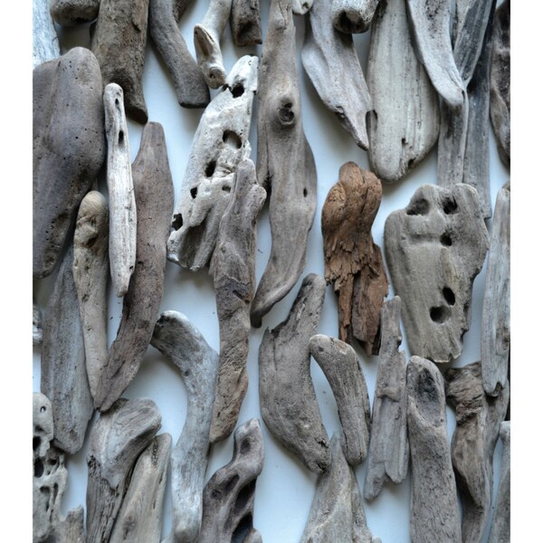 50 driftwood pieces for picture frames, decoration and other craft projects