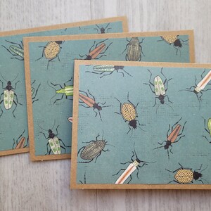 Bug Note Cards: Entomologist Gift, Handmade Kraft Card Set