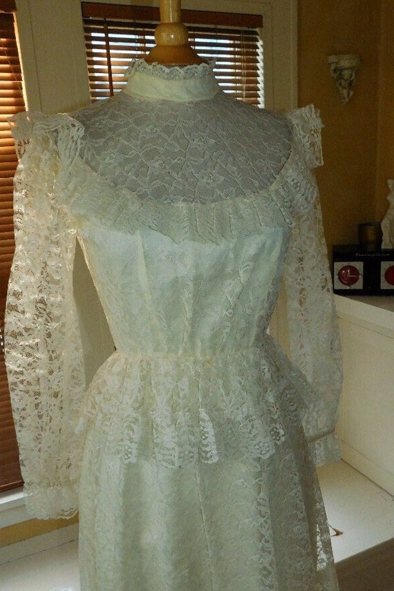 Victorian Inspired Dress/Gown - image 1