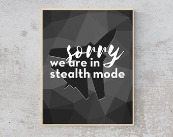 ENTREPRENEUR- Sorry We Are In Stealth Mode - Quote- Wall Art