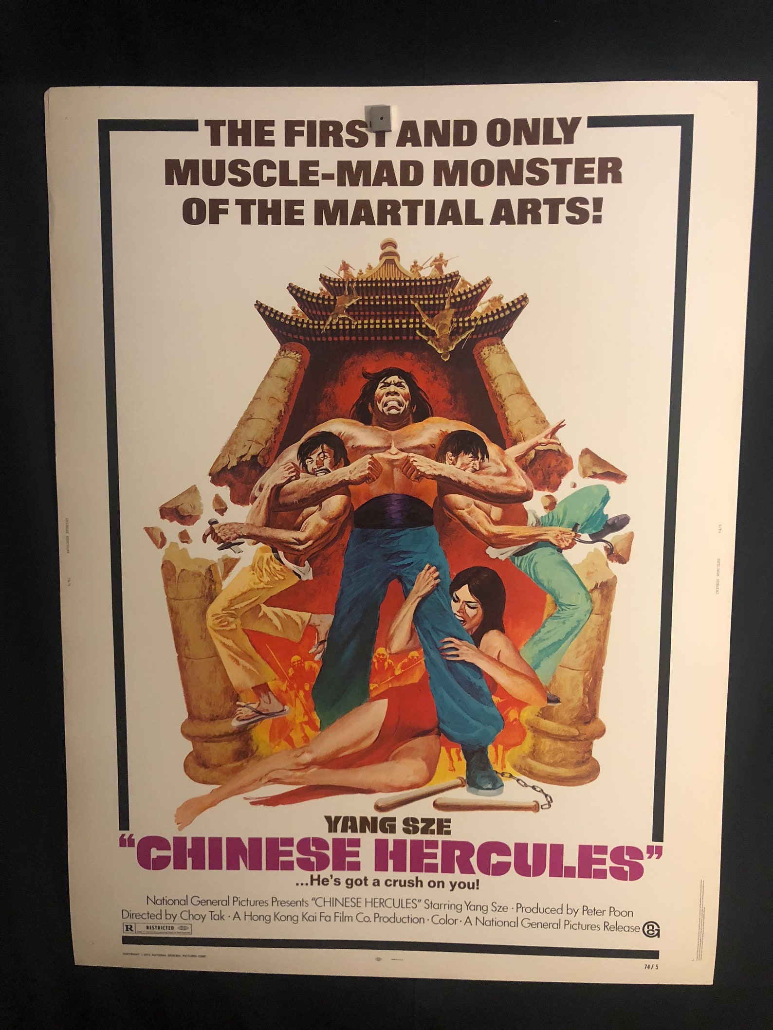 Original 1973 Chinese Hercules 30x40 Movie Poster Karate Kung Etsy