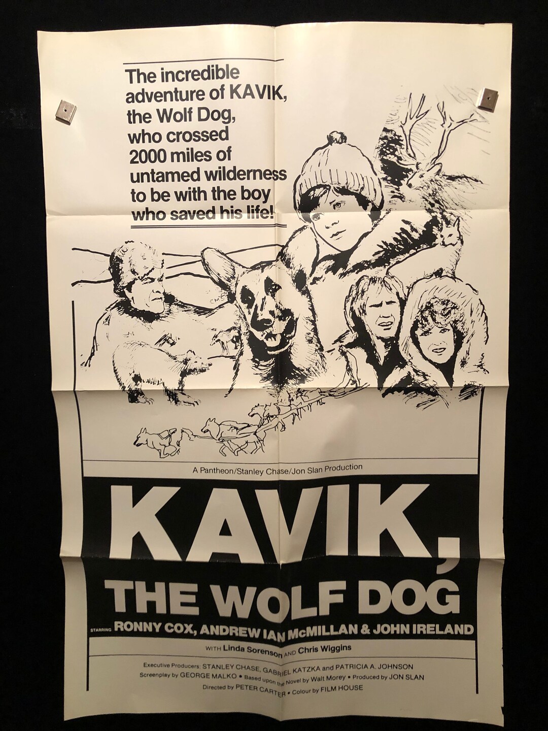 Original 1980 the Courage of Kavik the Wolf Dog One Sheet Movie