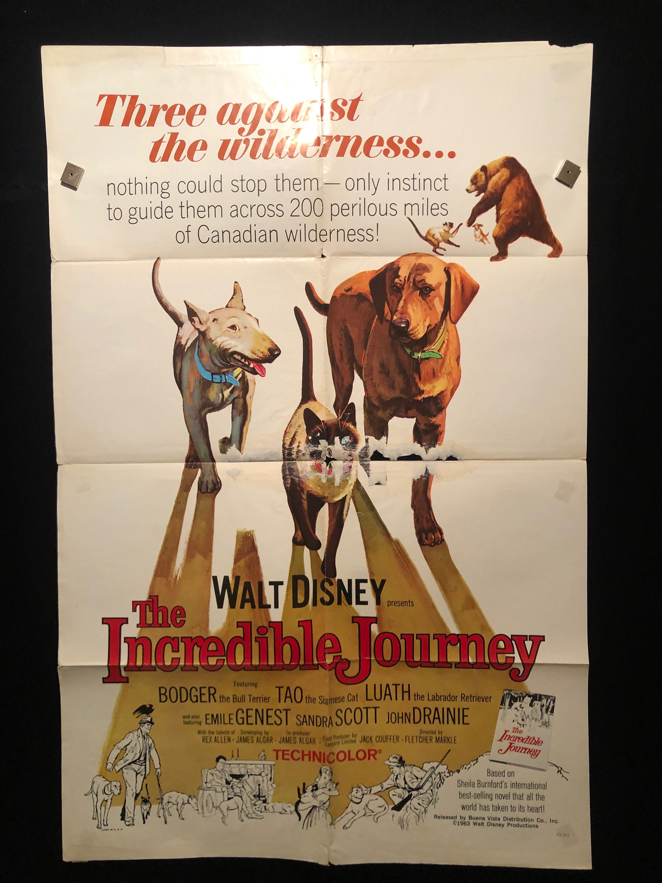 Incredible Journey Australia