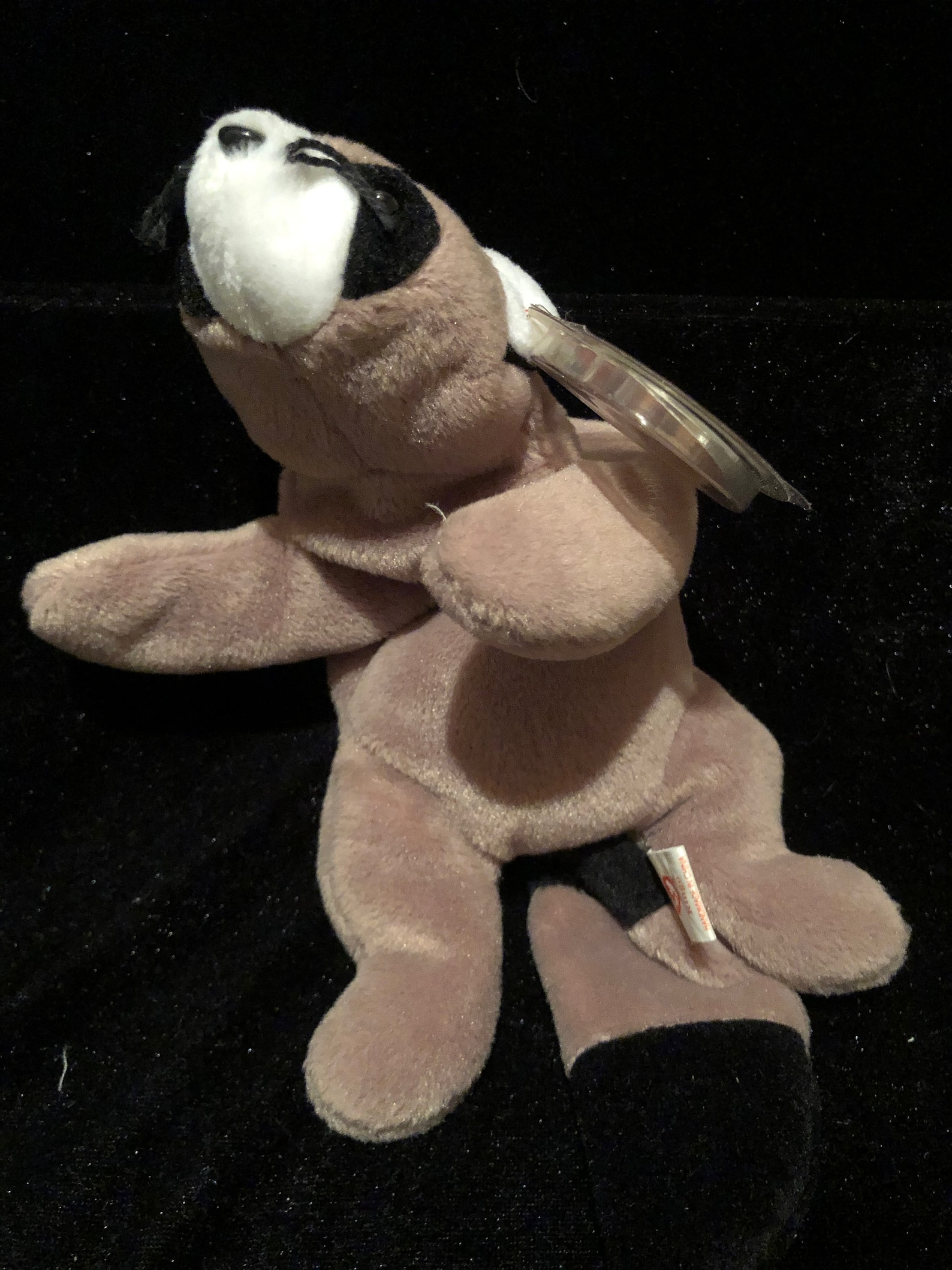 Original 1995 Ringo The Raccoon Retired Ty Beanie Babies w Etsy