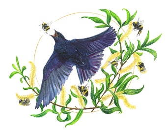 Purple and Gold Purple Martin watercolor painting