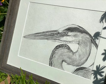 Heron in Grey Graphite Illustration Fine Art Piece