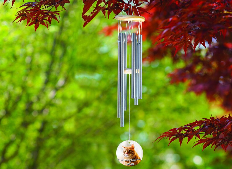 May include: A silver wind chime with a wooden top and a round, clear pendant featuring a cat's image and text. The wind chime hangs against a backdrop of red leaves and a blurred green background.