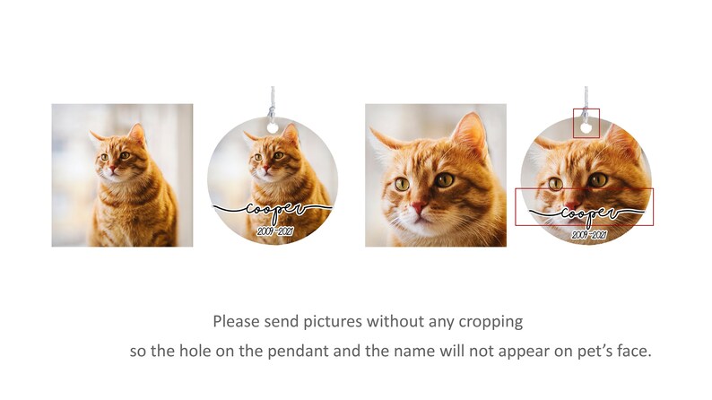 May include: A square image and a round ornament featuring a ginger cat. The ornament has the cat's name, "cooper", and dates "2009-2021". The text below says "Please send pictures without any cropping so the hole on the pendant and the name will not appear on pet's face."