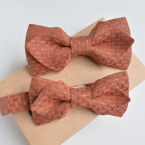 May include: Two orange bow ties with a textured pattern, one a classic bow tie and the other a pre-tied bow tie with an adjustable strap. The bow ties are displayed on a brown cardboard box against a white background.