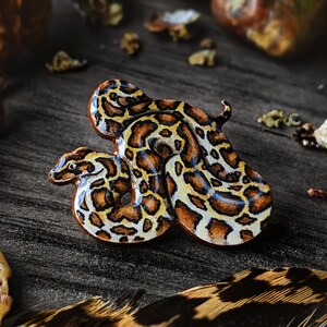 A burmese python pin on a wooden surface surrounded by bits of dried lichen, a striped brown feather, mushrooms and stones.