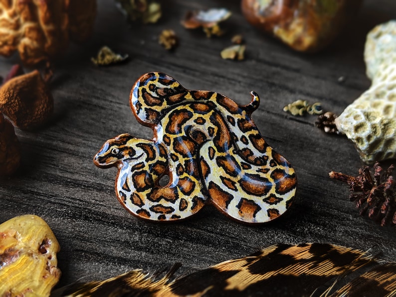 A burmese python pin on a wooden surface surrounded by bits of dried lichen, a striped brown feather, mushrooms and stones.