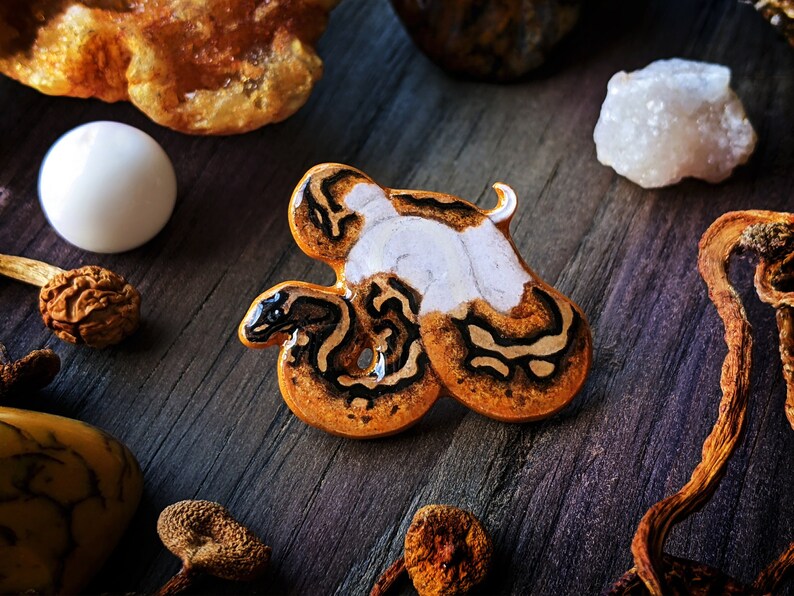 A pied ball python pin on a wooden surface surrounded by dried orange mushrooms, orange crystals, a white crystal and bead.