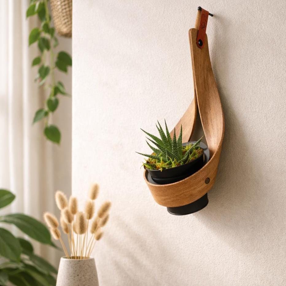 Personalized Wall Mounted Planter: Steam Bent Wood, Indoor Plant Pot Holder  - Etsy