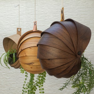 May include: Three wooden hanging planters with different shapes and finishes. The planter on the left is a light brown, the middle planter is a darker brown, and the planter on the right is a dark brown with a more rounded shape. Each planter has a small plant growing inside.