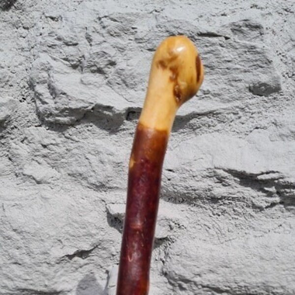 Irish Blackthorn Walking Stick Etsy