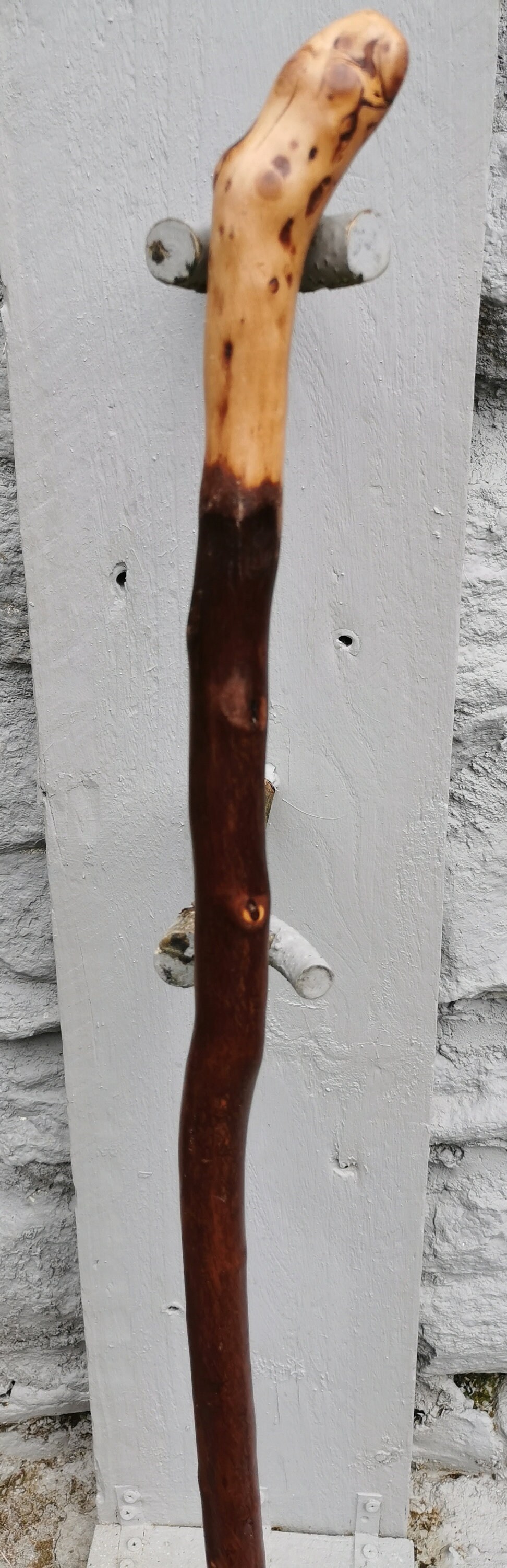 Handcrafted Birch Cane Etsy