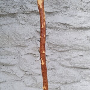 Hawthorn Walking Stick image 2